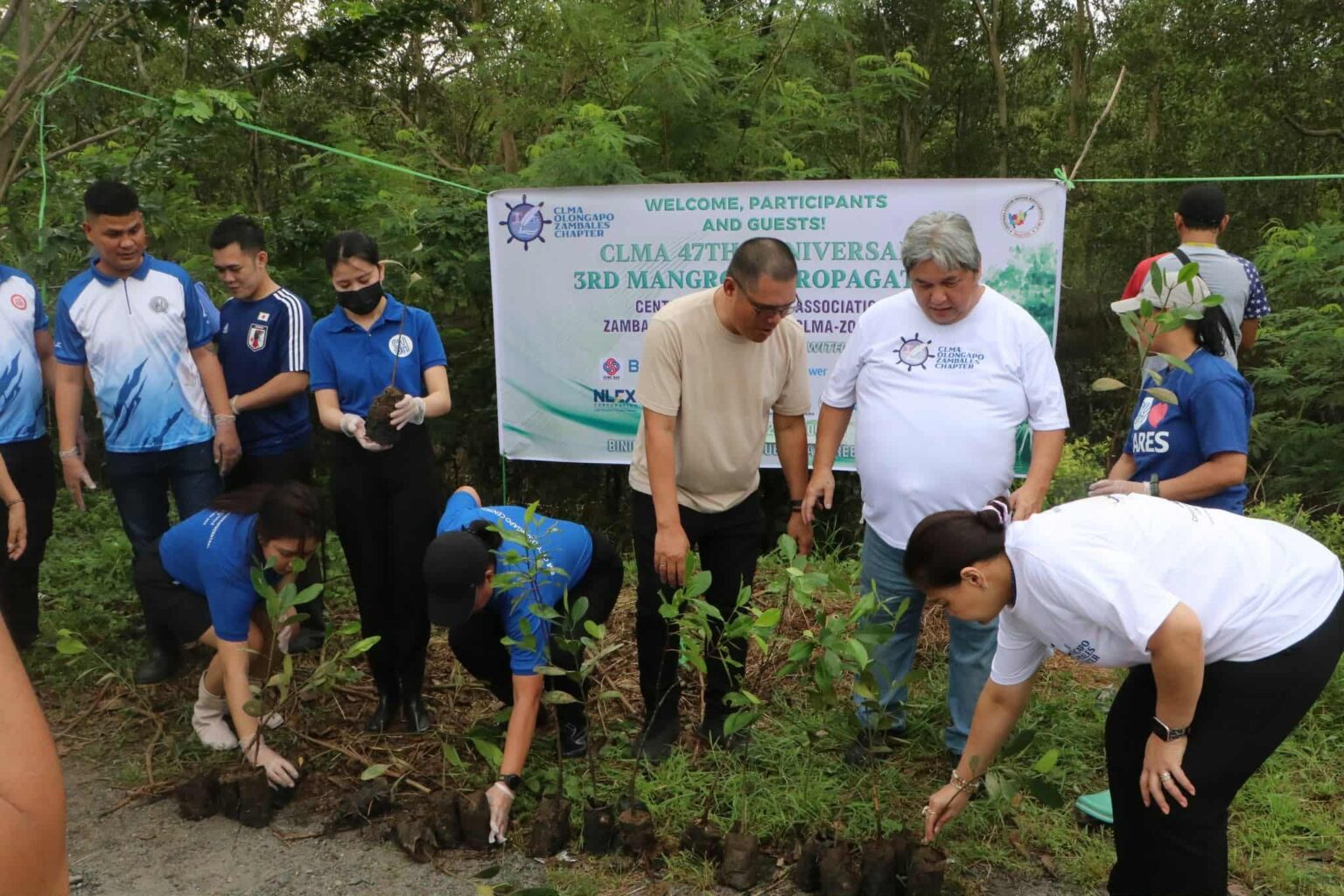 First Clma CLMA Olongapo-Zambales holds mangrove planting in Subic Bay for 47th ...